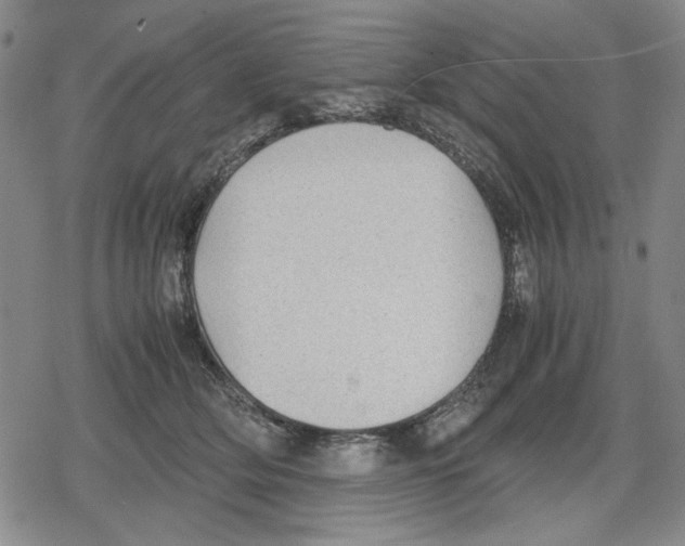 X0000079320514200612151820