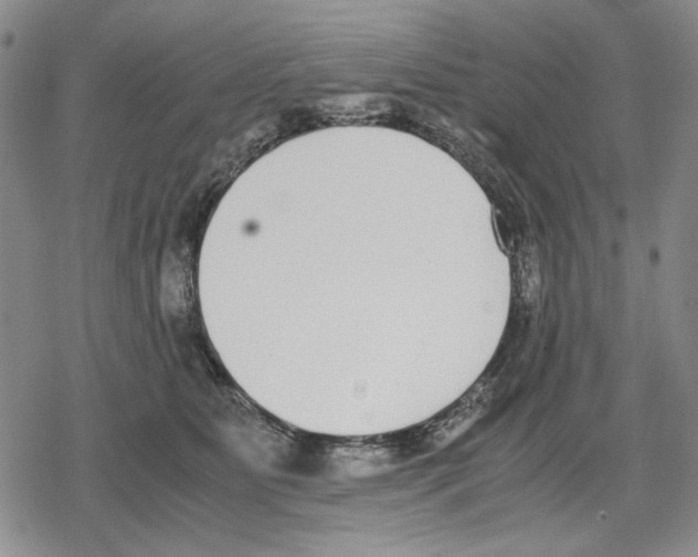 X0000079320515200612151820