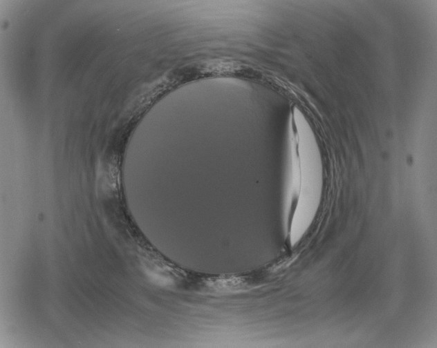 X0000079320517200612151820