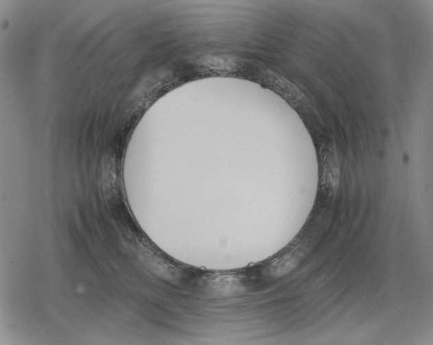 X0000079320518200612151820