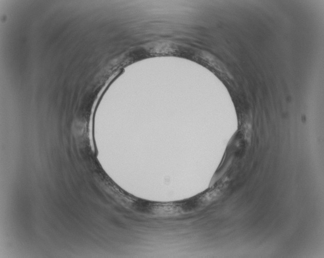 X0000079320521200612151820