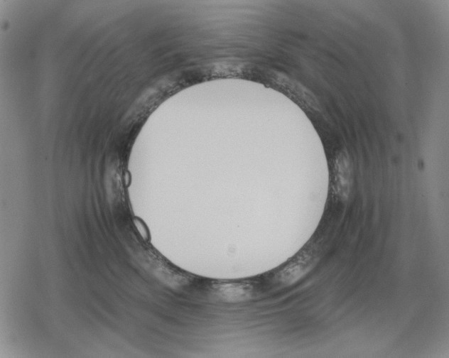 X0000079320522200612151820