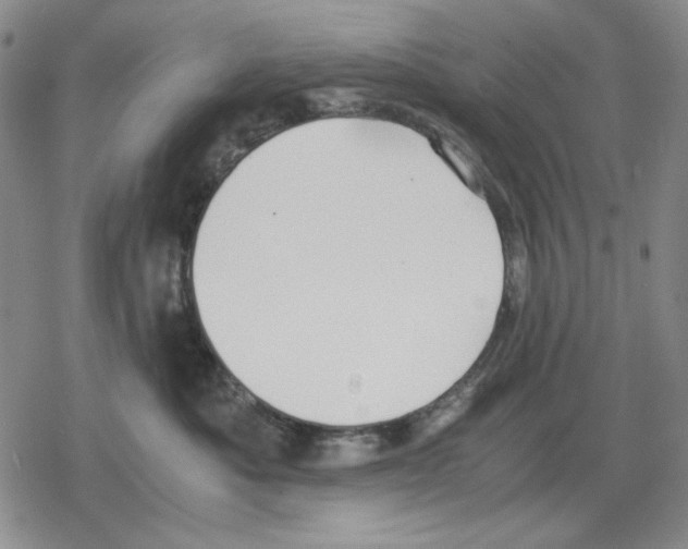 X0000079320525200612151820