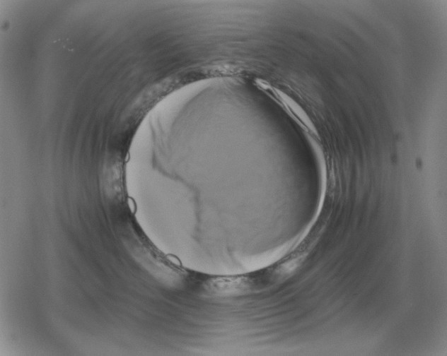 X0000079320526200612151820