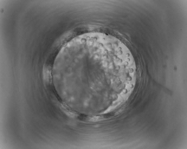 X0000079320527200612151820