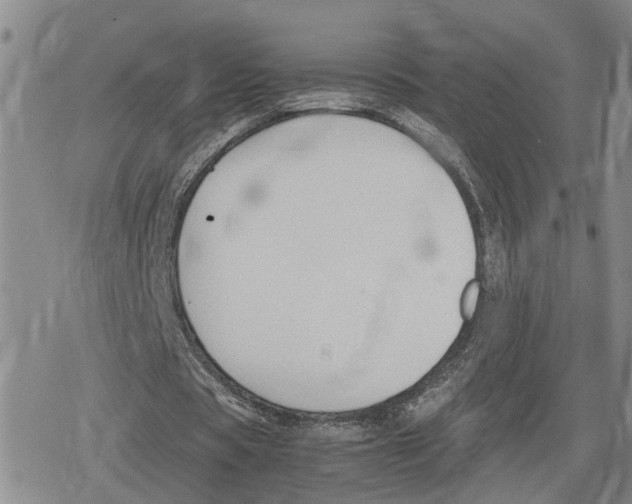 X0000079320529200612151819