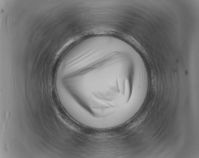 X0000079320530200612151819