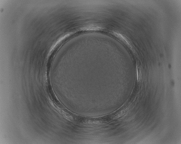 X0000079320531200612151819