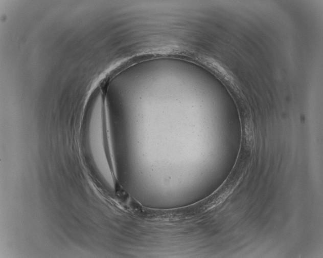 X0000079320532200612151819