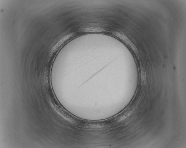 X0000079320533200612151819