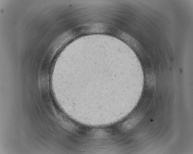 X0000079320534200612151819