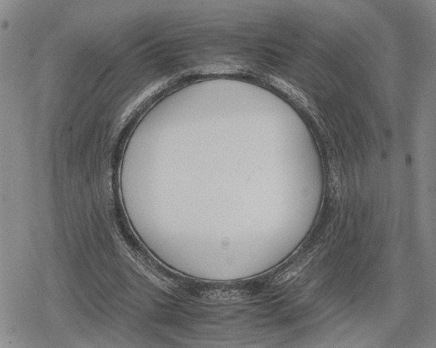 X0000079320535200612151819