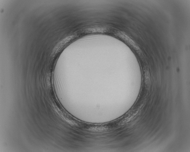 X0000079320537200612151820