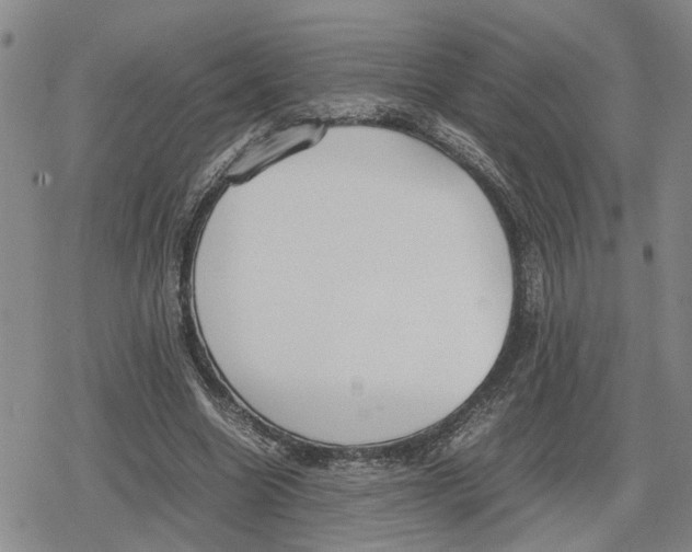 X0000079320538200612151820