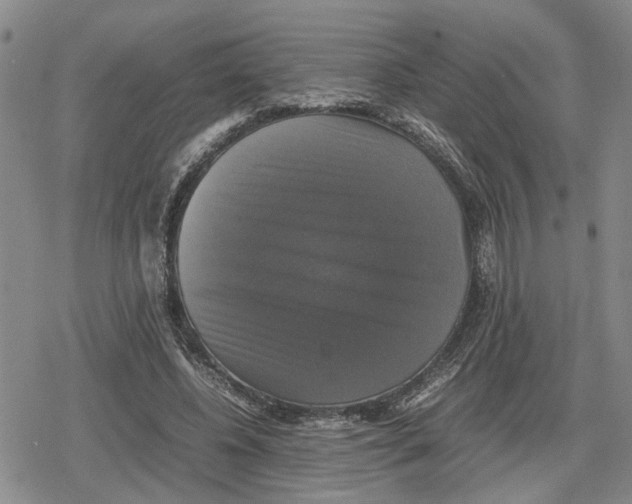 X0000079320540200612151820