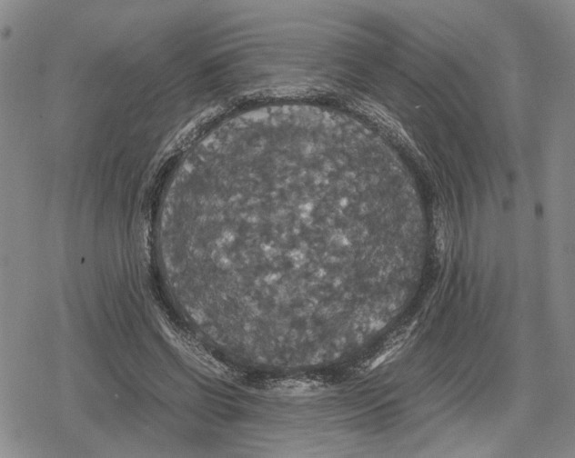 X0000079320542200612151820