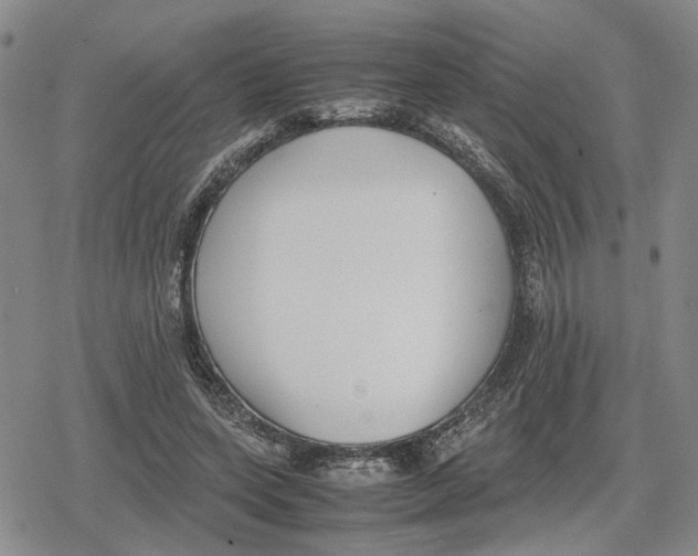 X0000079320543200612151820