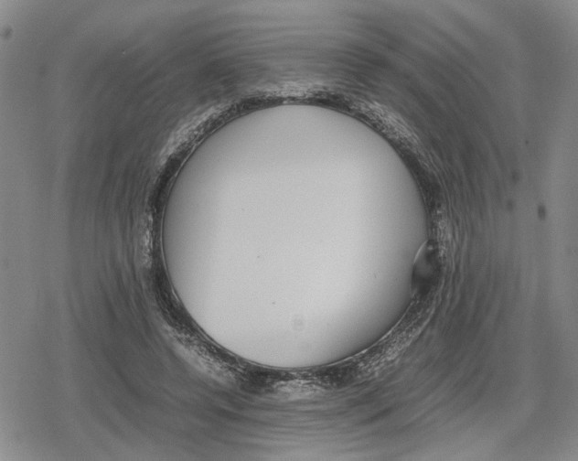 X0000079320544200612151820