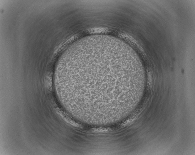 X0000079320545200612151820