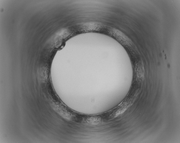 X0000079320546200612151820