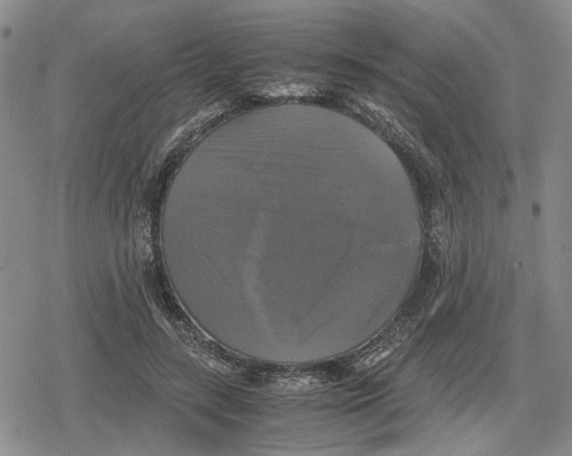 X0000079320547200612151820