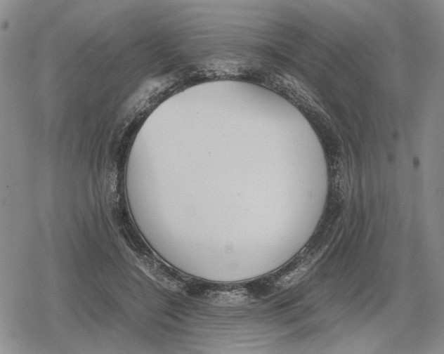 X0000079320548200612151820