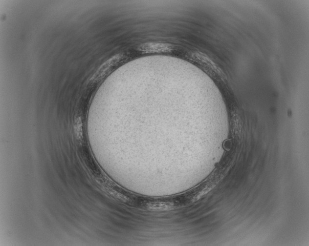 X0000079320549200612151820