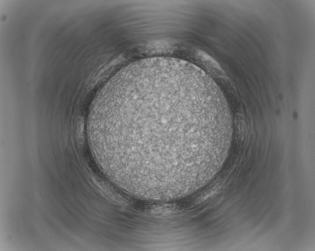 X0000079320550200612151820