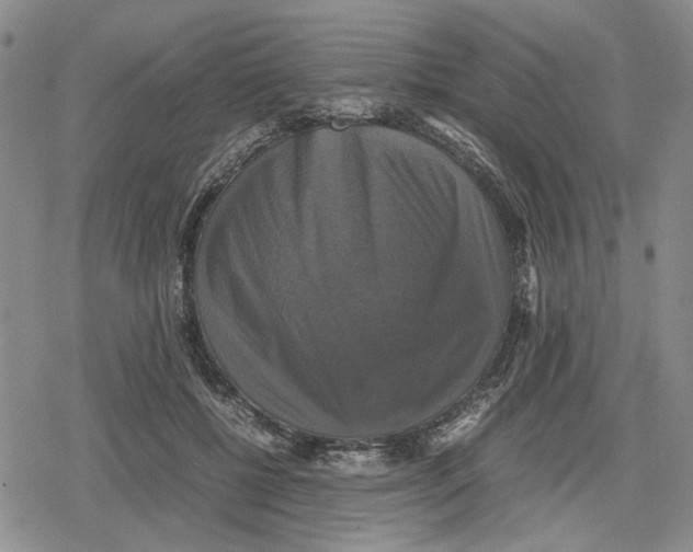 X0000079320552200612151820