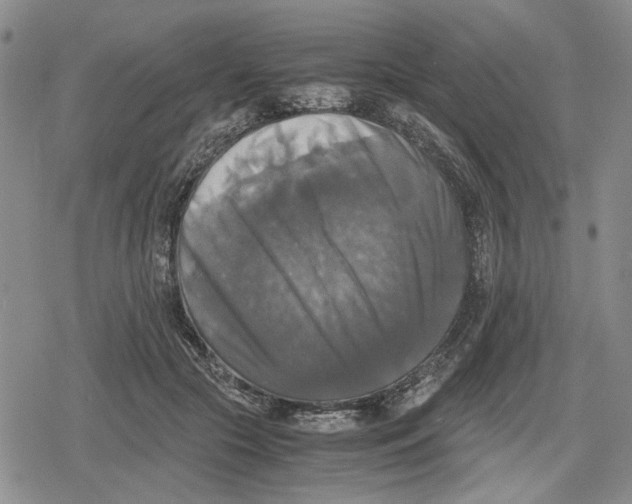 X0000079320553200612151820