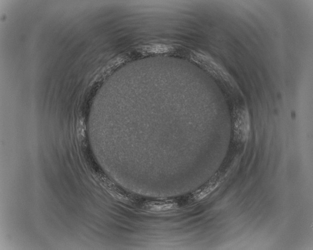 X0000079320555200612151820