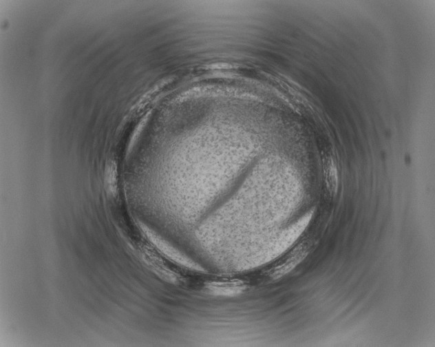 X0000079320556200612151820