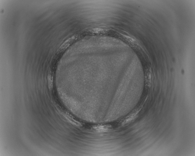 X0000079320558200612151820