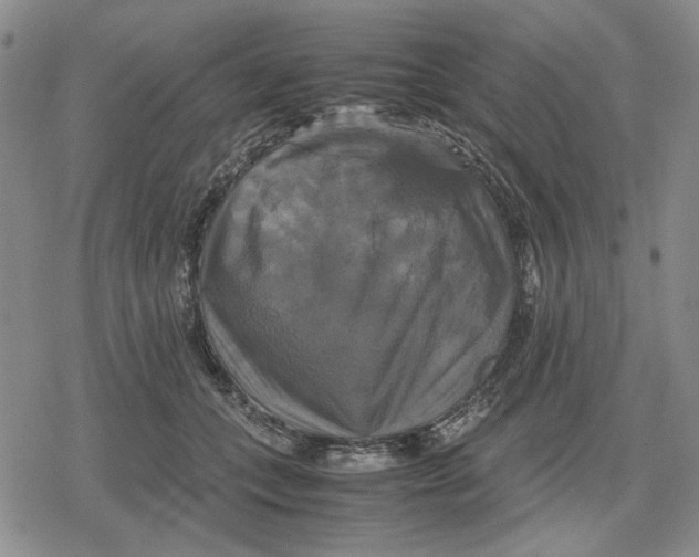 X0000079320559200612151820