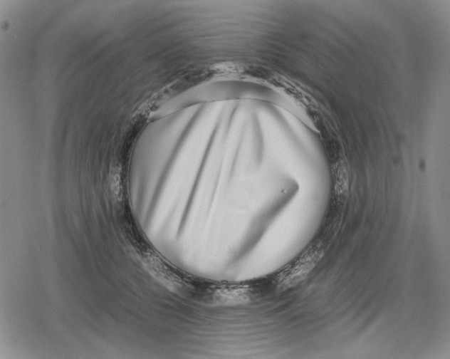 X0000079320560200612151820