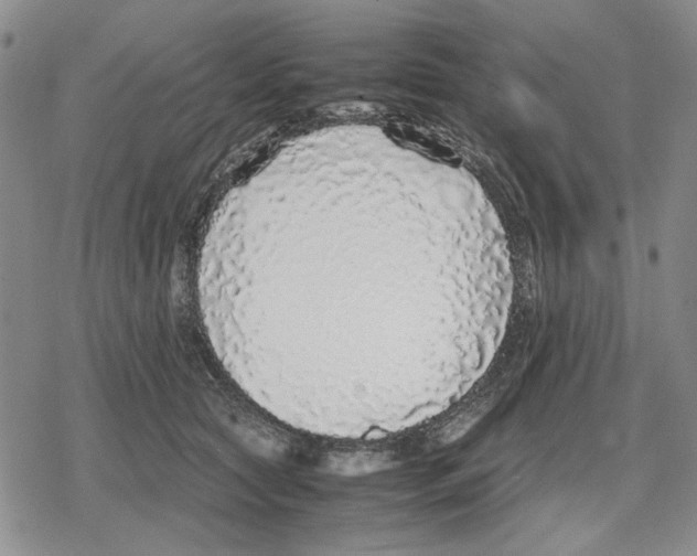 X0000079320561200612151820