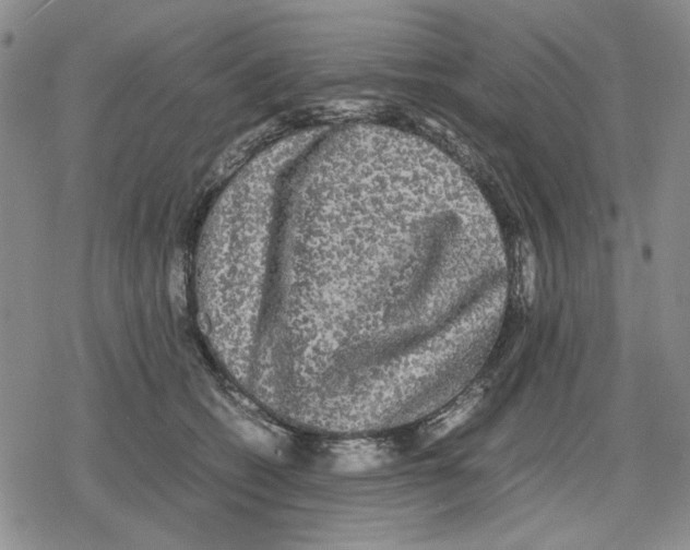 X0000079320562200612151820