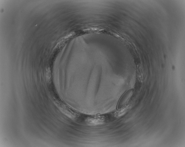 X0000079320563200612151820