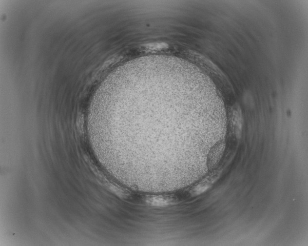 X0000079320565200612151820