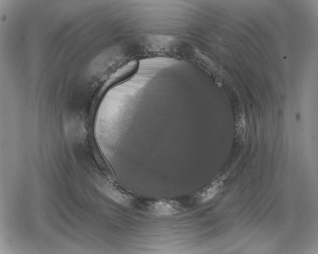 X0000079320566200612151820