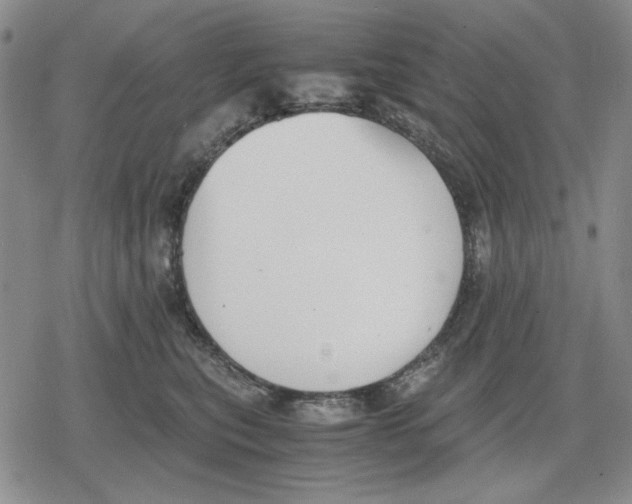 X0000079320567200612151820