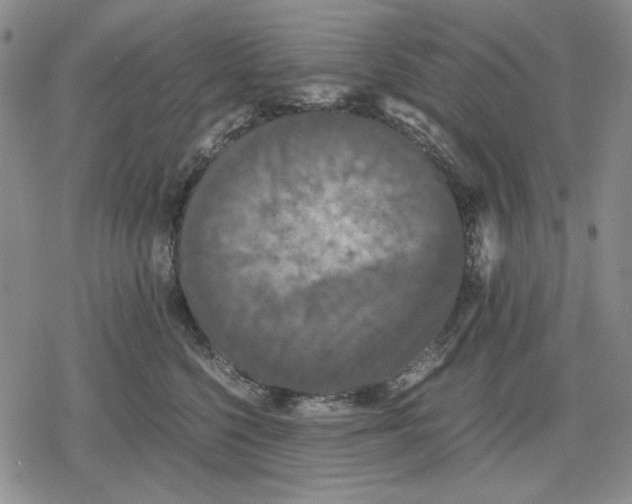 X0000079320568200612151820