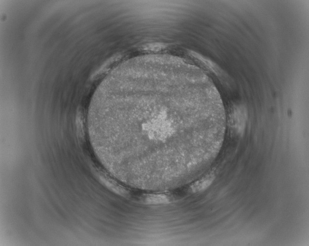 X0000079320572200612151820