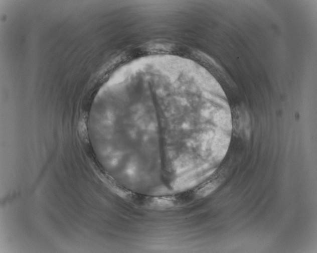 X0000079320573200612151820