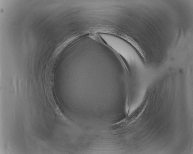 X0000079320577200612151819