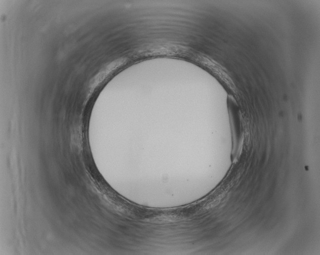 X0000079320578200612151819