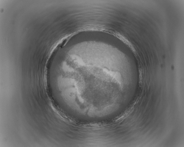 X0000079320580200612151819