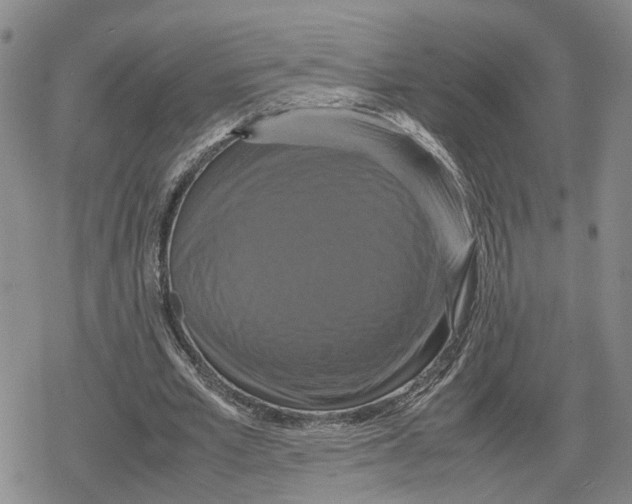 X0000079320581200612151819