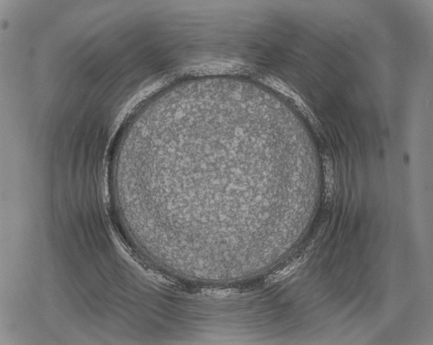 X0000079320582200612151819