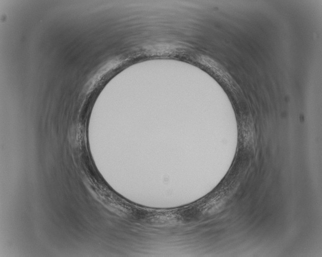 X0000079320583200612151819